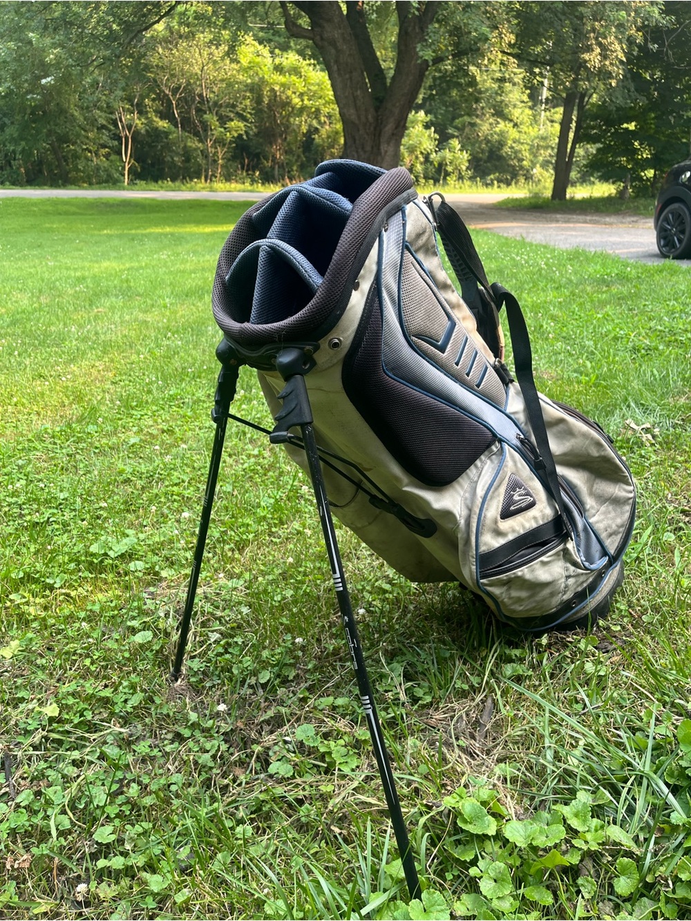 Cobra Men's Beige and Black Stand Golf Bag with Blue Accents